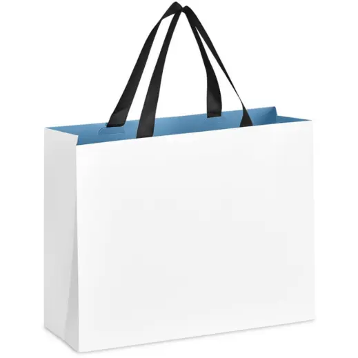 Altitude Galleria Midi Paper Gift Bag New Blue